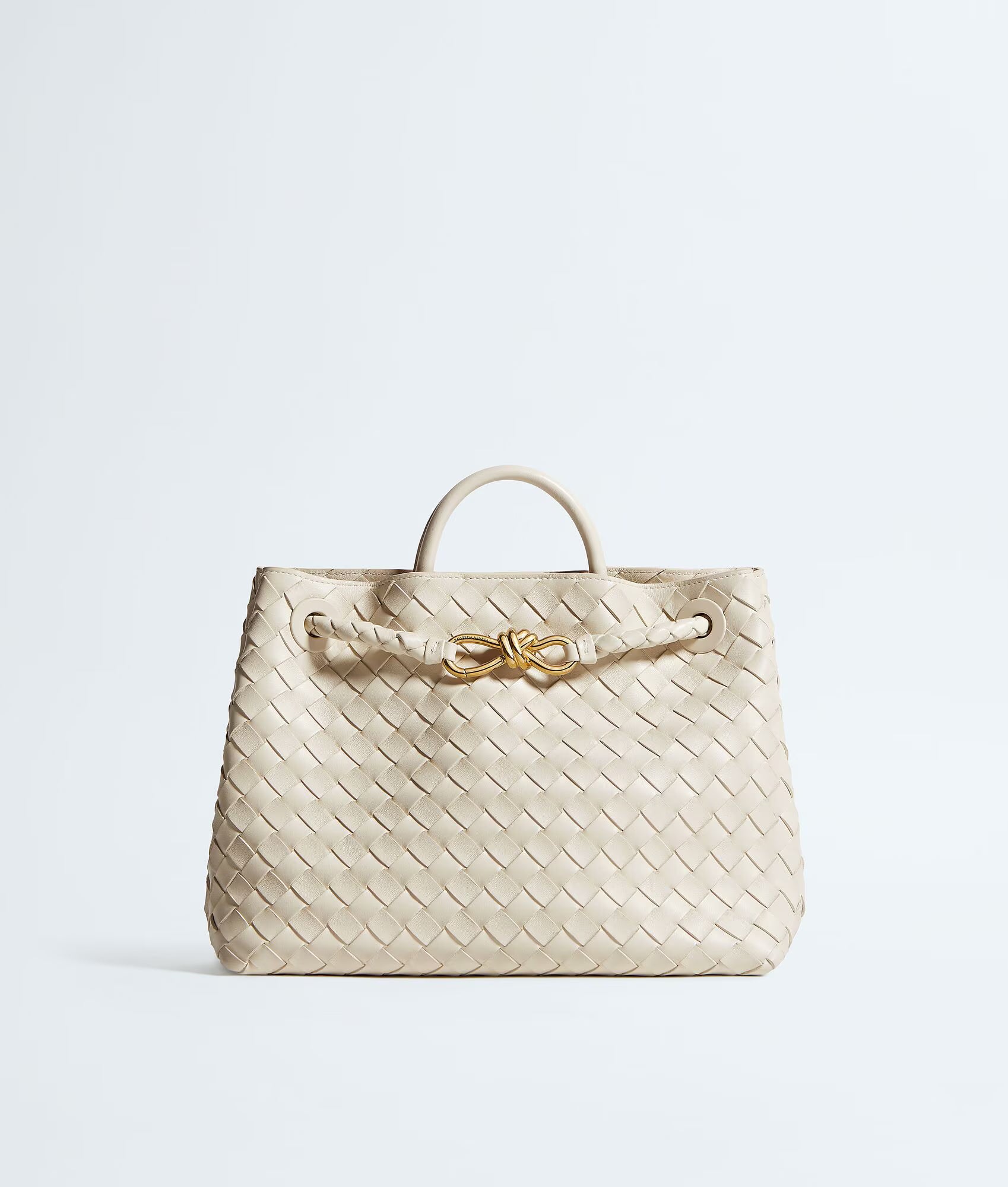 Bottega Veneta Andiamo Medium
