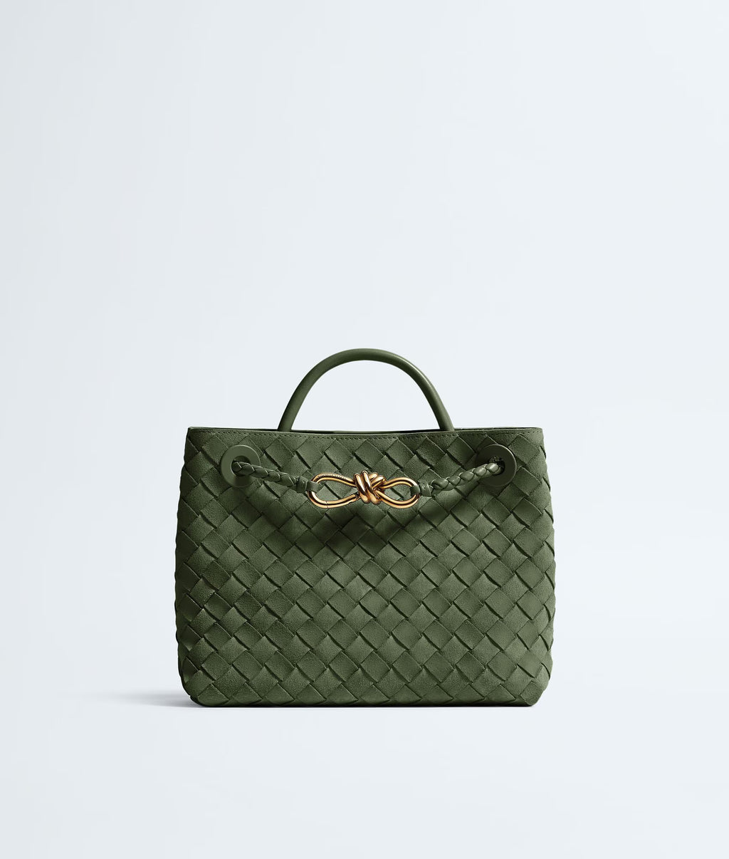 Bottega Veneta Andiamo Small Suede