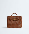 Bottega Veneta Andiamo Small