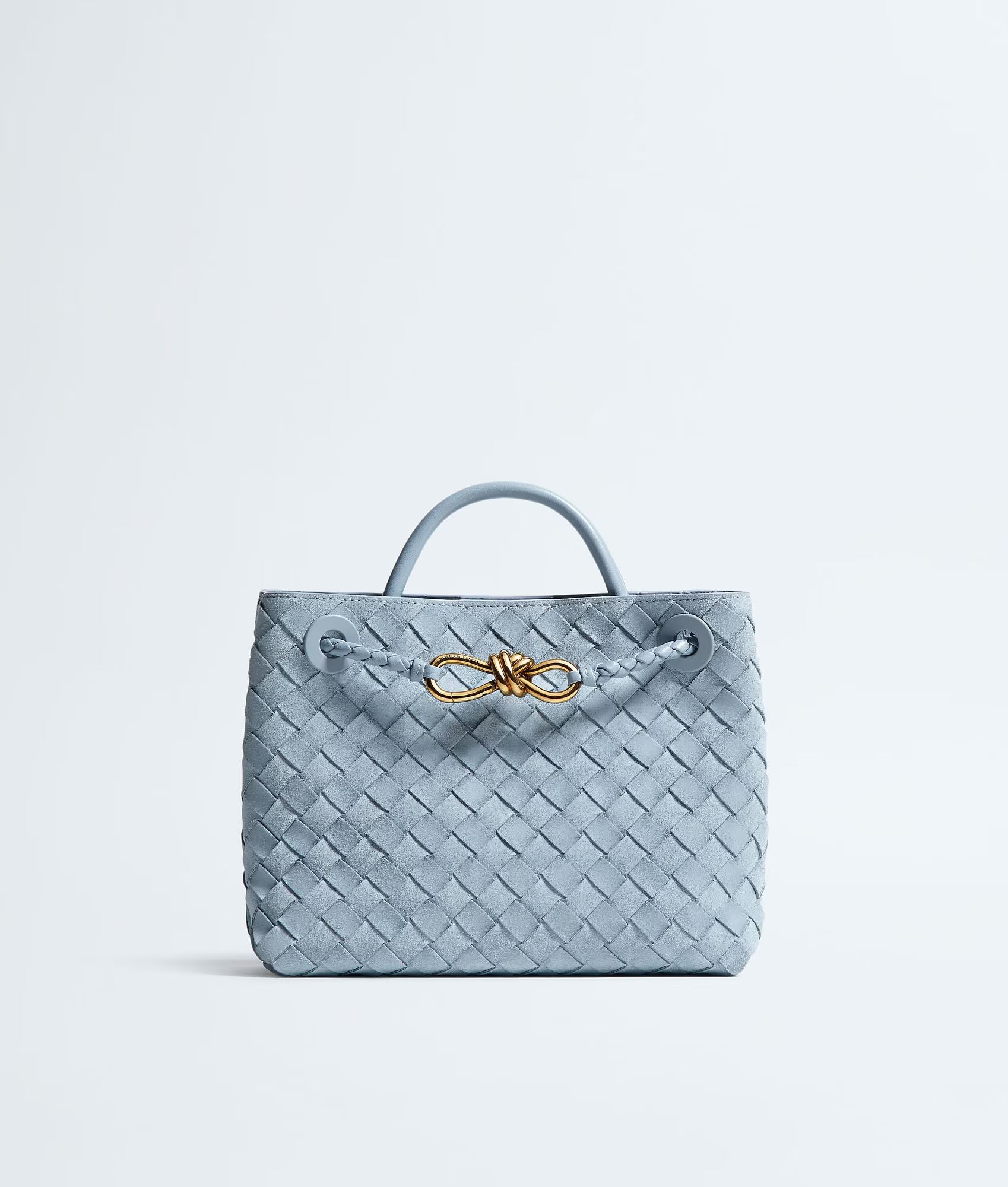 Bottega Veneta Andiamo Small Suede