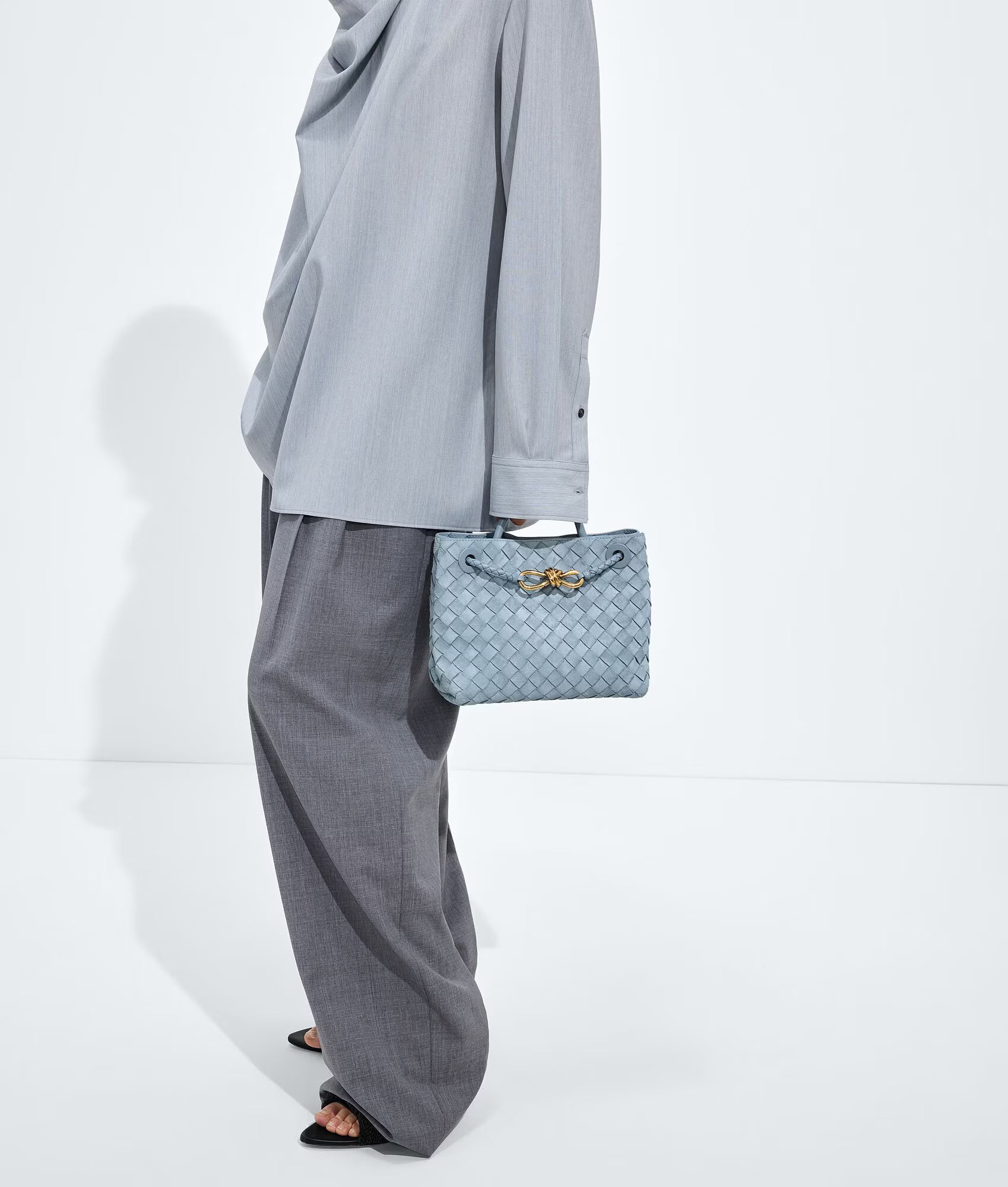 Bottega Veneta Andiamo Small Suede