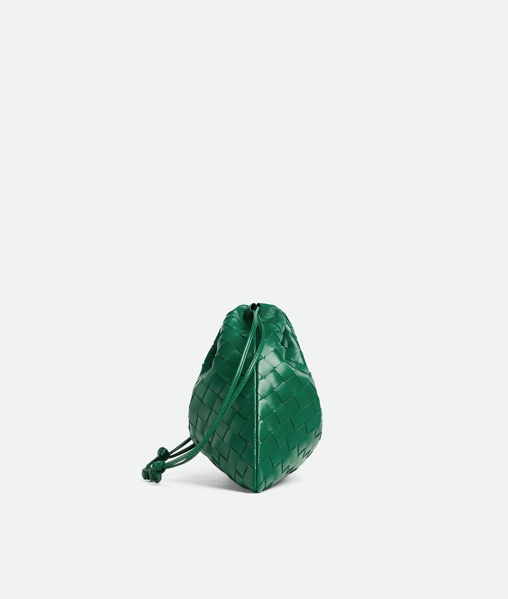 Bottega Veneta Dust Bag