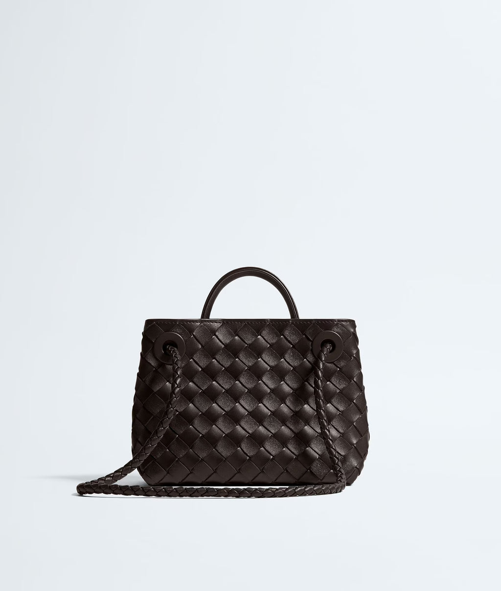 Bottega Veneta Mini Andiamo