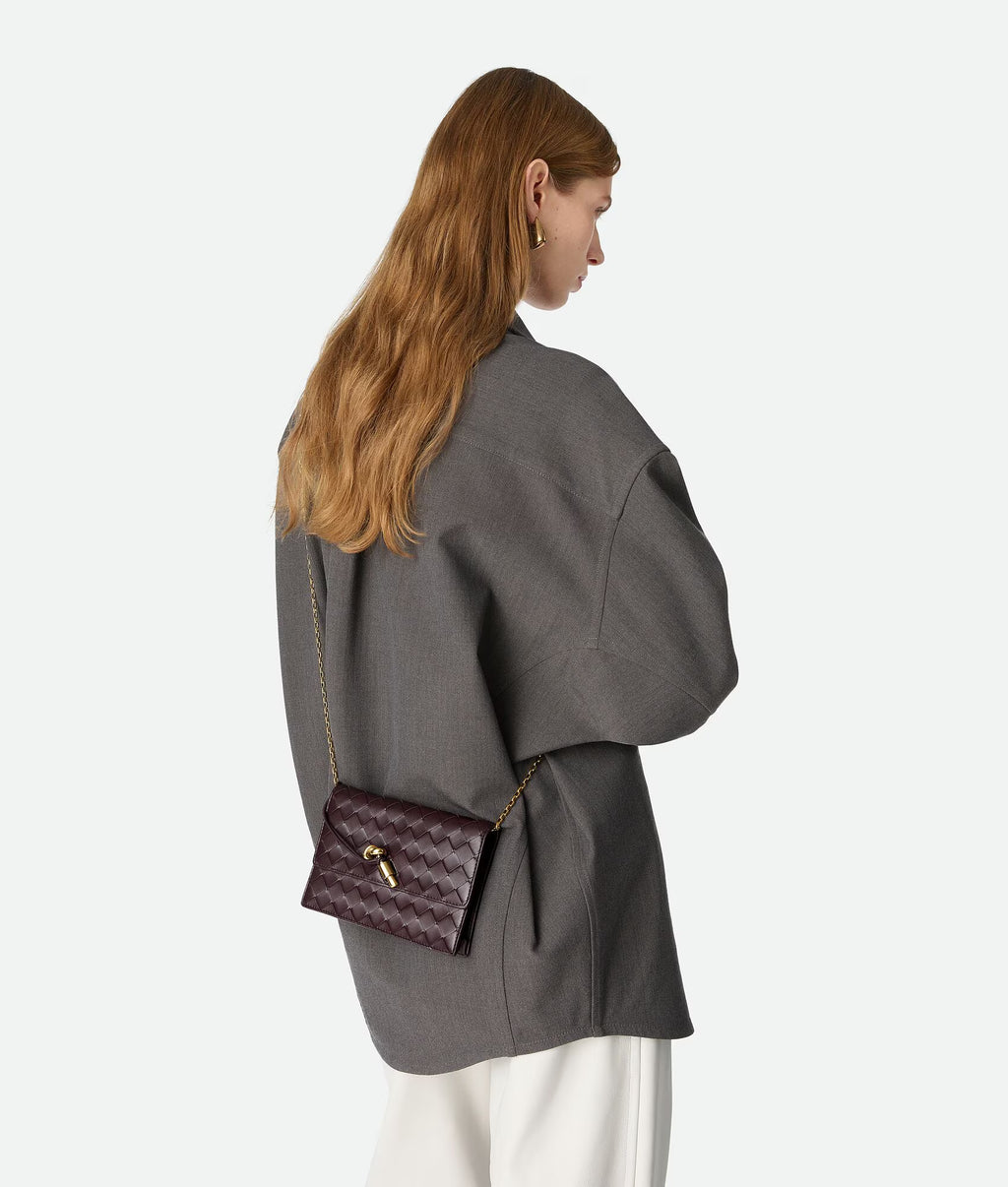 Bottega Veneta Chain Pochette