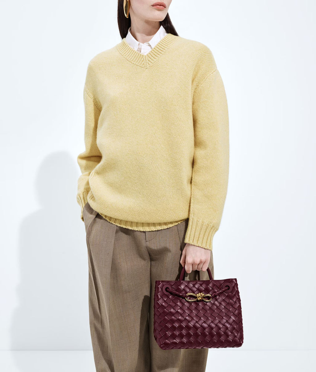 Bottega Veneta Andiamo Small